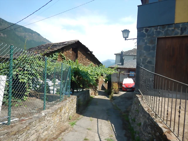 DSCN8973 DSCN8973