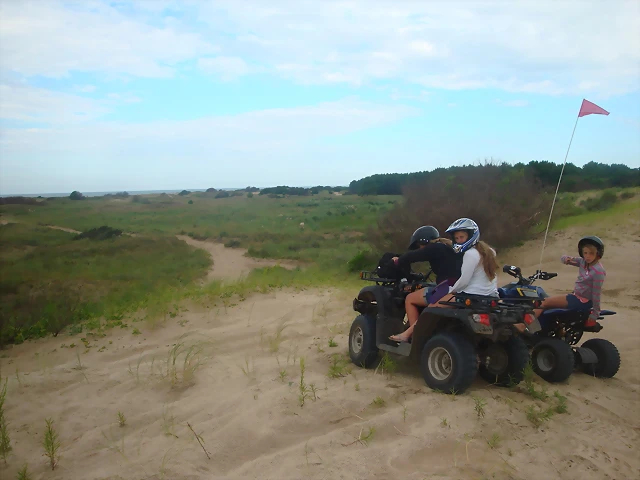 DSC07833 DSC07833