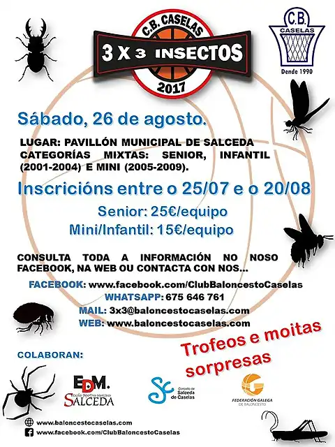 3x3 insectos