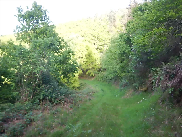DSCN2088 DSCN2088
