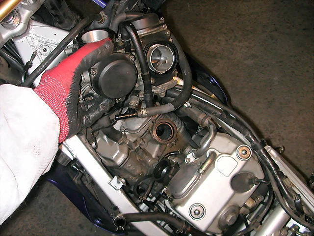 DSCN4204 DSCN4204