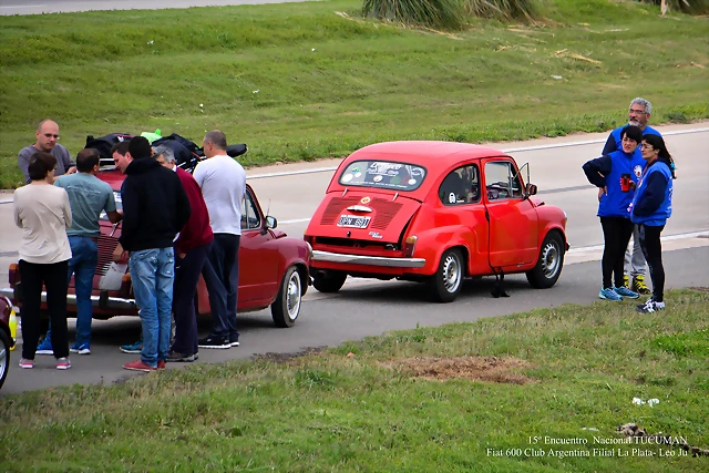 DSC_0496 DSC_0496