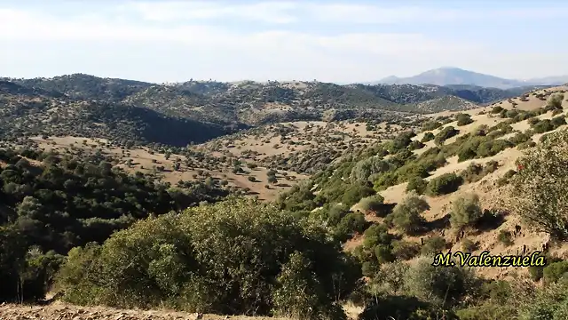 03, la sierra, marca