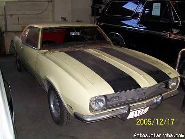 Camaro -11273 Camaro -11273