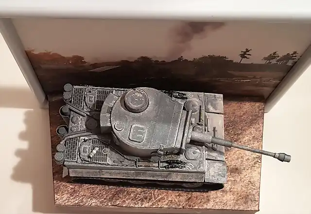 Tiger 1 (37)