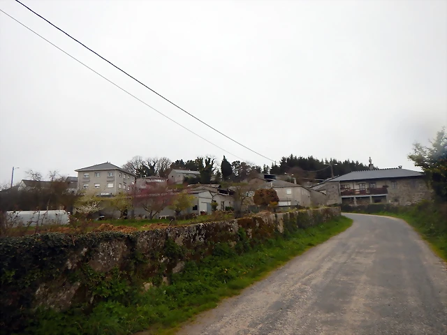 DSCN2990 DSCN2990