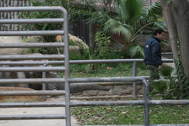 Zoo de Barcelona 29-11-2010 076 Zoo de Barcelona 29-11-2010 076
