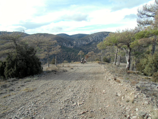 CIMG0703 CIMG0703