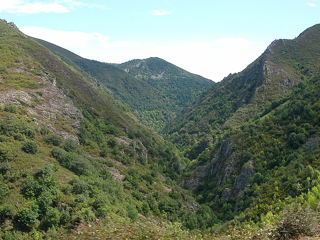 DSCN3226 DSCN3226