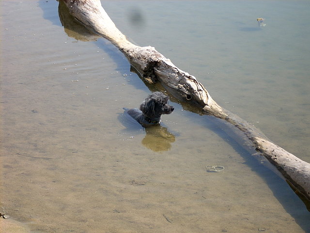moly en lago moly en lago