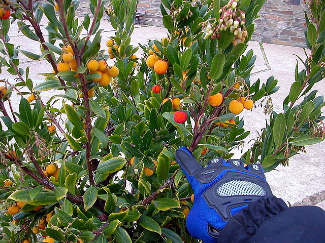 DSCN9699 DSCN9699