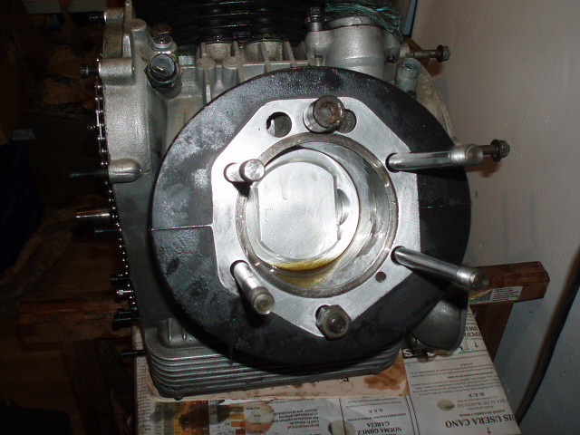 P5210005 P5210005