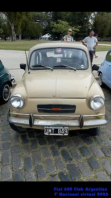 54 54
