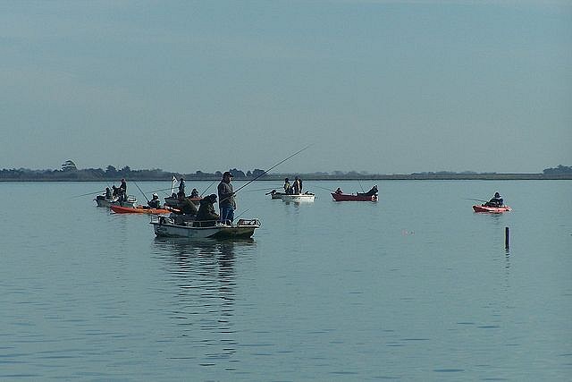 varios botes y kayak