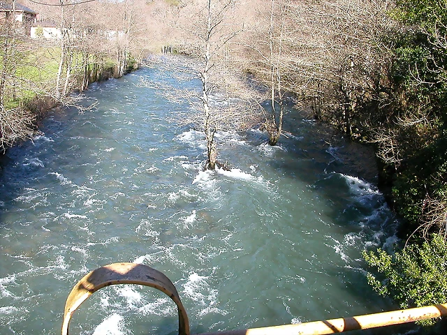 DSCN8023 DSCN8023