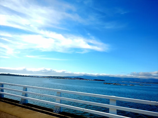 DSCN0288 DSCN0288