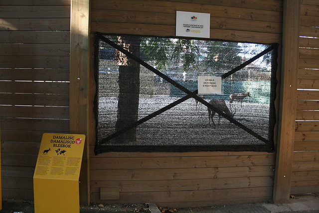 Zoo de Barcelona 11-11-10 176 Zoo de Barcelona 11-11-10 176