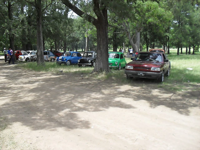 SDC10950 SDC10950