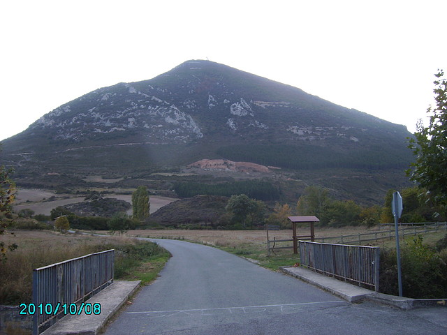 Higa2010silueta