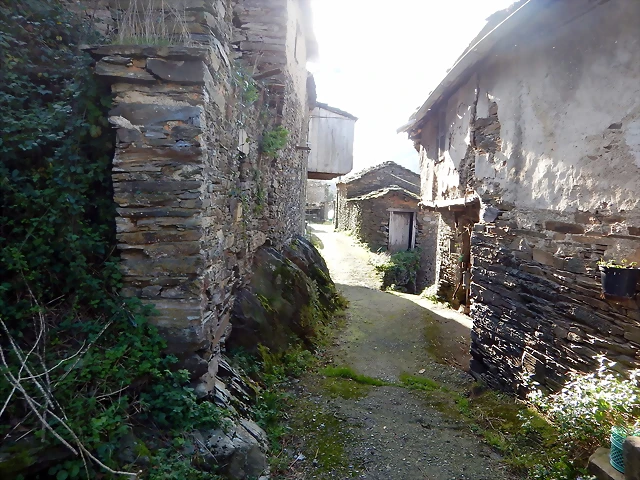 DSCN0921 DSCN0921
