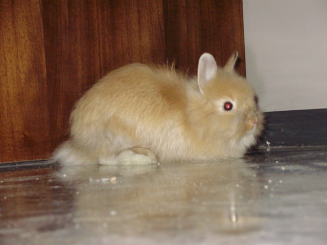 pixeeel :D pixeeel :D