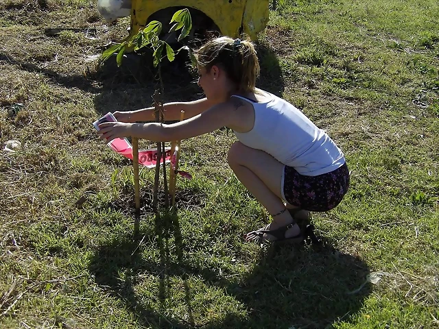 26195330_1784365931575475_4023079168037548425_n 26195330_1784365931575475_4023079168037548425_n