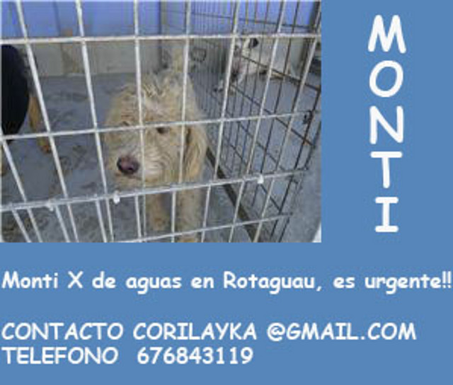 MONTI x de aguas en riesgo de sacrificio