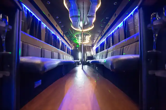 Party Bus For Atlanta | White Bear Bus | 35 passengers