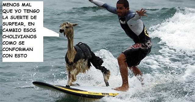 watch_alpaca_surf_640_02[1] - copia