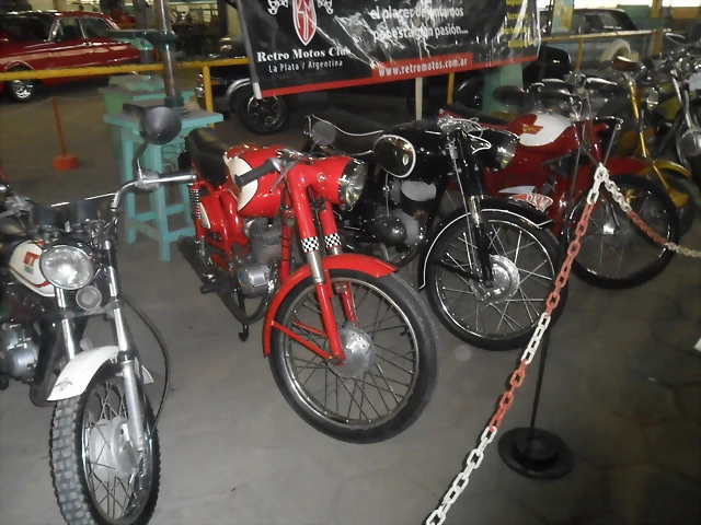 SAM_0303 SAM_0303