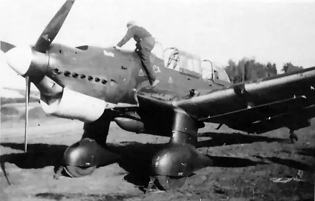 Ju_87_B-1_I_StG_1_Braunschweig-Waggum_1939