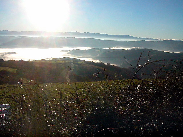 DSCN5454 DSCN5454