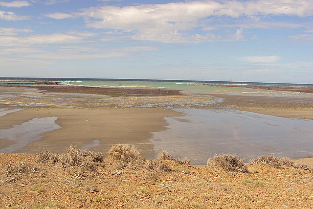 playa pinuquera