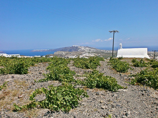 Profitis Ilias (Athinios) (15)