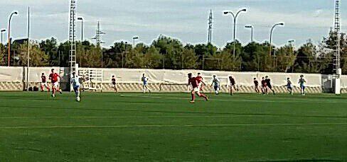 JuvenilesREALMURCIABMULE?OCF201617-1