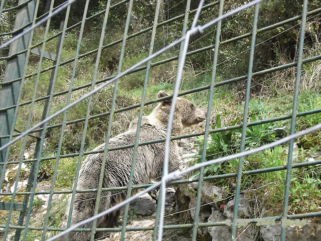 R0012423 R0012423