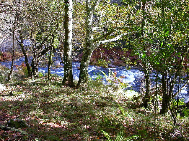 DSCN9275 DSCN9275