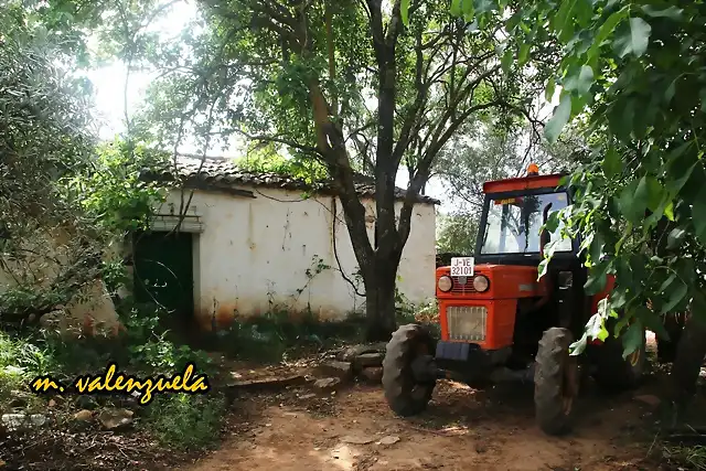 04, CORTIJO DE ANDRS, MARCA