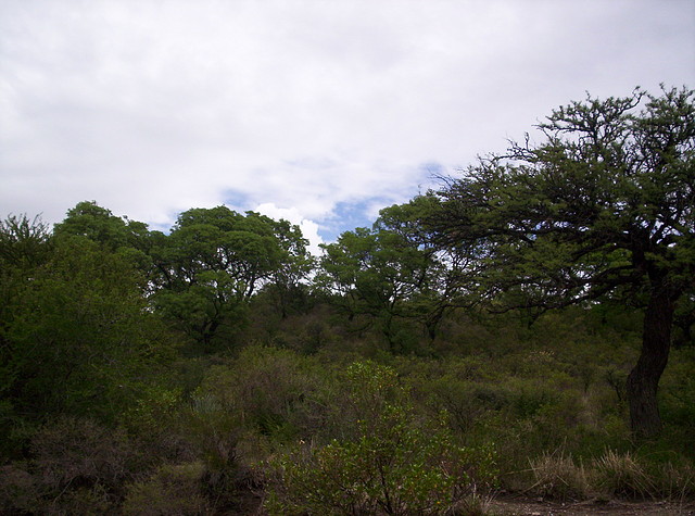 Base del Cerro Enero 2011 015