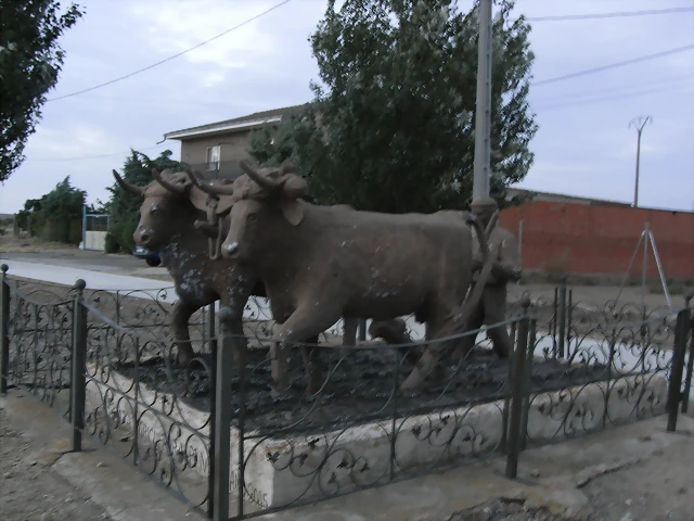 R0010780 R0010780