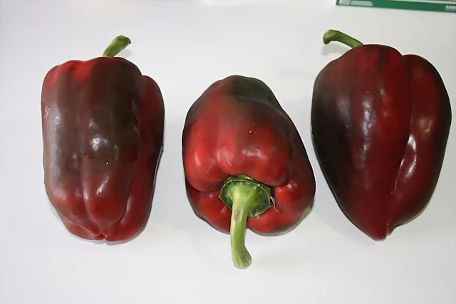 Pimientos rojos