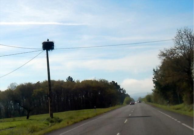 DSCN1769 DSCN1769