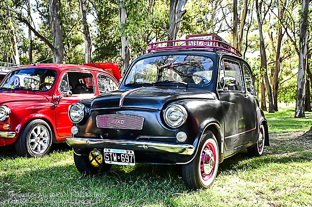 DSC_6633 DSC_6633