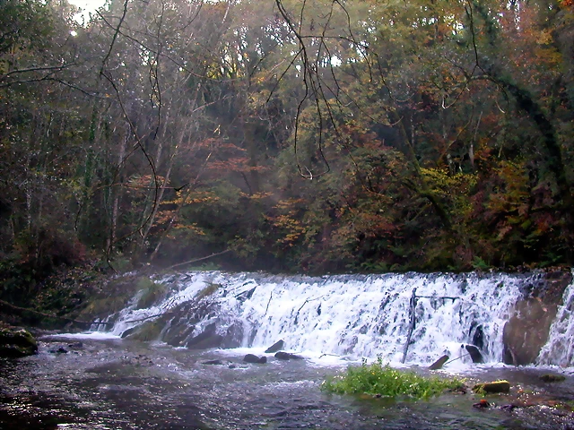 DSCN0001 DSCN0001