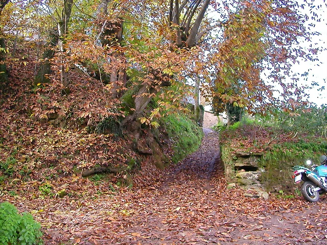 DSCN0028 DSCN0028