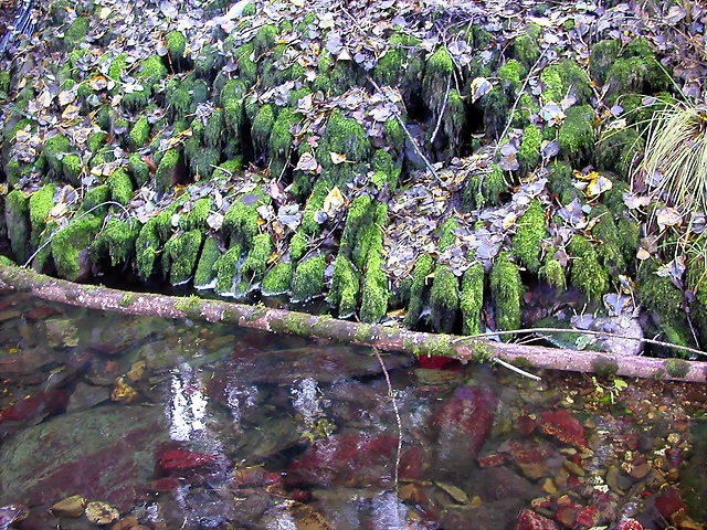 DSCN0005 DSCN0005