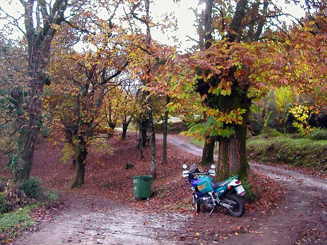 DSCN0062 DSCN0062