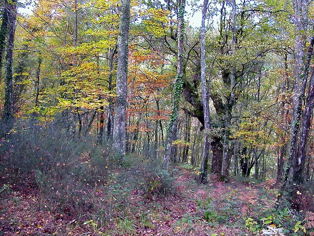 DSCN0044 DSCN0044