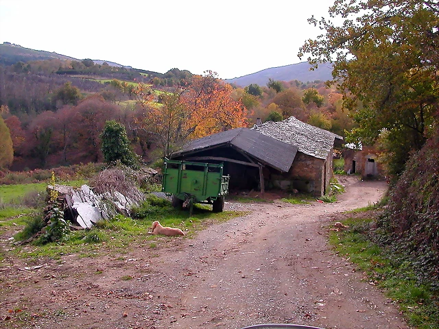 DSCN0068 DSCN0068