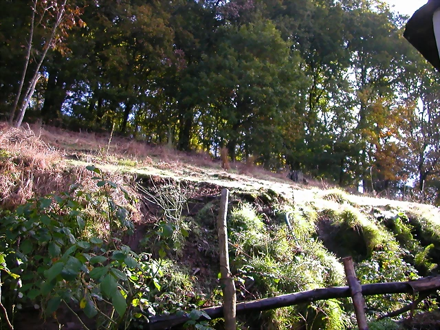 DSCN0081 DSCN0081